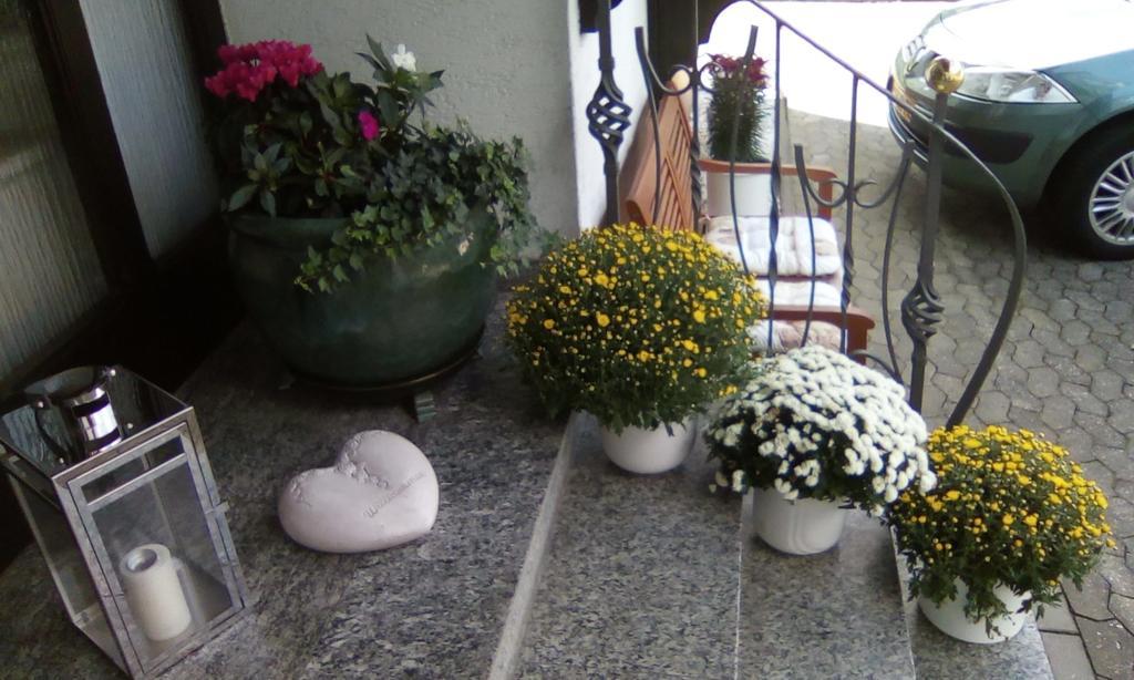 Bed and Breakfast Haus Reitz Ernst Zewnętrze zdjęcie